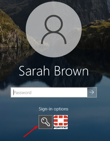 Windows built-in login