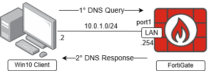 Topology of FortiGate working as DNS Server