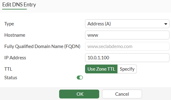 Configuring new DNS entry in FortiGate