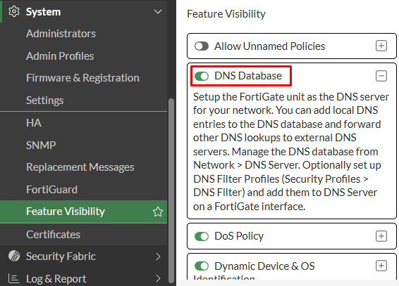 DNS Database feature visibility on FortiGate