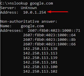 Testing Windows DNS resolution using FortiGate as DHCP server