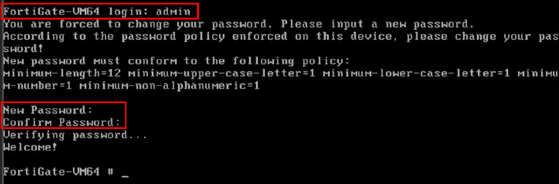FortiGate VMware first login