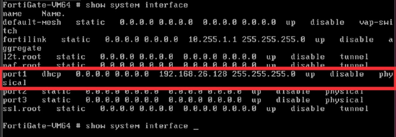 FortiGate VMware port1 interface