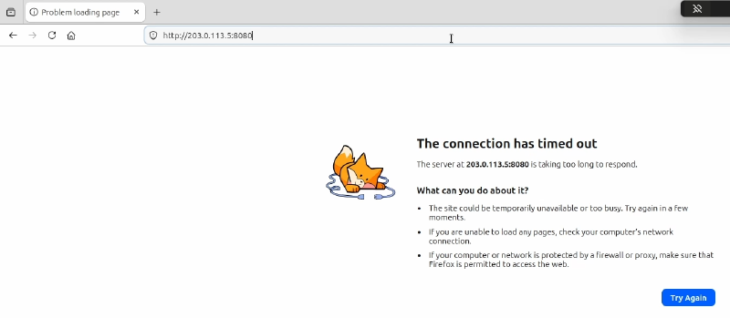 FortiGate VIP internal access test failed