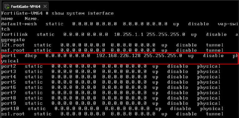 Show system interface on FortiGate