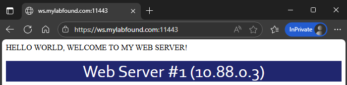 FortiGate ZTNA HTTPS Access Proxy access succeeded